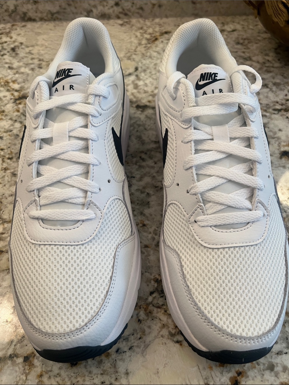Nike Men's White Sneakers with Black Swoosh
